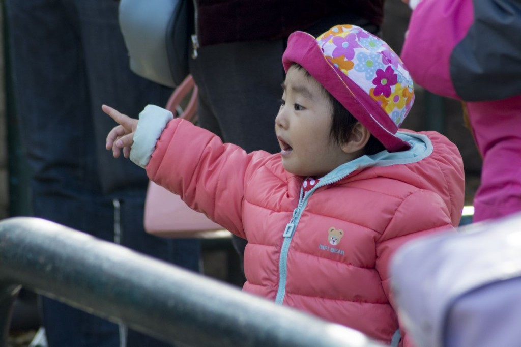 BeijingZooLille7