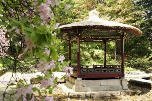 Changdeokgung Palads