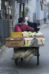 Den kørende grønthandel