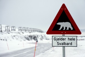 Advarsel mod isbjørne uden for Longyearbyen Svalbard