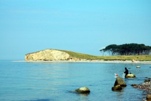 Gulstav ved Bagenkop