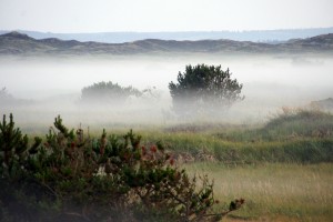 Lavtliggende tåge Rødhus Klithede