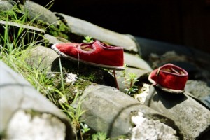 Lijiang 1995 - Små maosko på tag