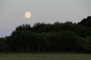 Månen står op ved Juelstrup Sø