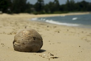 Nød på stranden, Malaysia