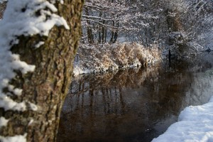 Sne ved Røde Mølle