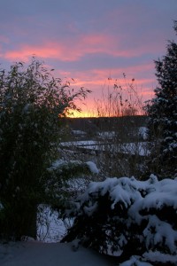 Solnedgang i haven, Skørping