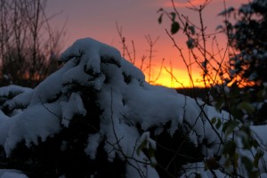 Solnedgang i haven, Skørping