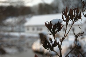 Sne ved Røde Mølle