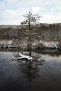 Sne ved Røde Mølle