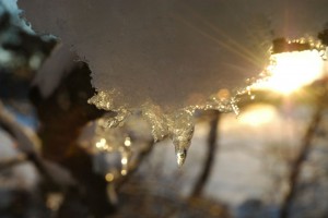 Sol i istapper
