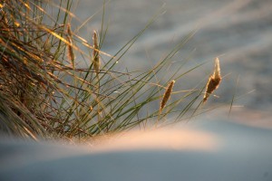 Solnedgang ved Rødhus Strand