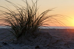 Solnedgang ved Rødhus Strand