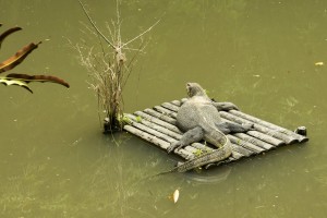 Sungei Buloh Wetland Reserve