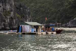 Husbåd i Bai Tu Long Bay