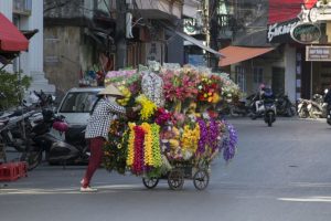 Rullende blomsterbutik, Hai Phong