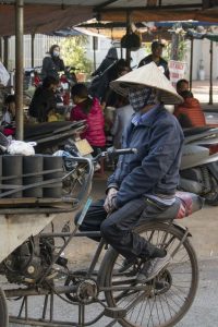 Udbringning af kul, Hai Phong