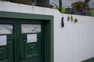 Varelageret til skue