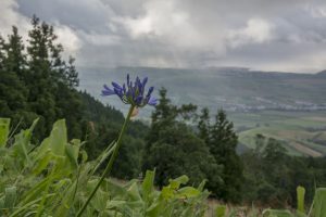 Truende regn på nordkysten.