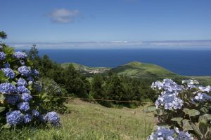 Fra turen rundt på kraterkanten med tvillingesøerne på den ene side og Atlanterhavet på den anden
