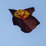 Sanur, Bali: Drage over stranden