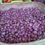 Sanur, Bali: Så er der hvidløg