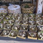 Sanur, Bali: Små kasser af bananblade til ofringer