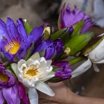 Blomster på marked i SIngaraja