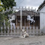 Hund vogter løveport