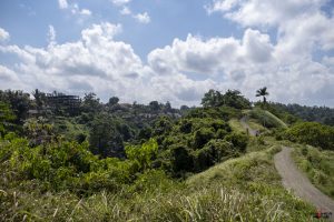Campuhan Ridge Walk