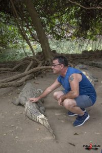 Turister kan røre ved krokodillerne i Kachikally