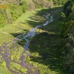 Drone over kilderne i Rold Skov